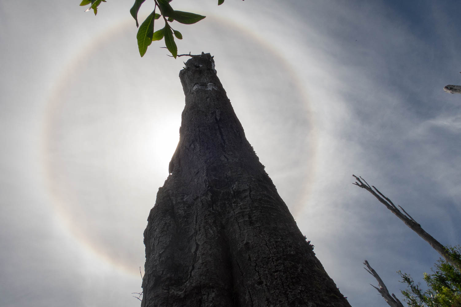 Sun halo as we descend from the volcano